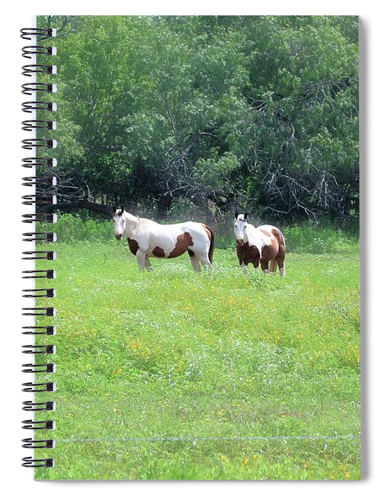 Horses Spiral Notebook featuring the photograph Painted Horses by Ella Kaye Dickey
