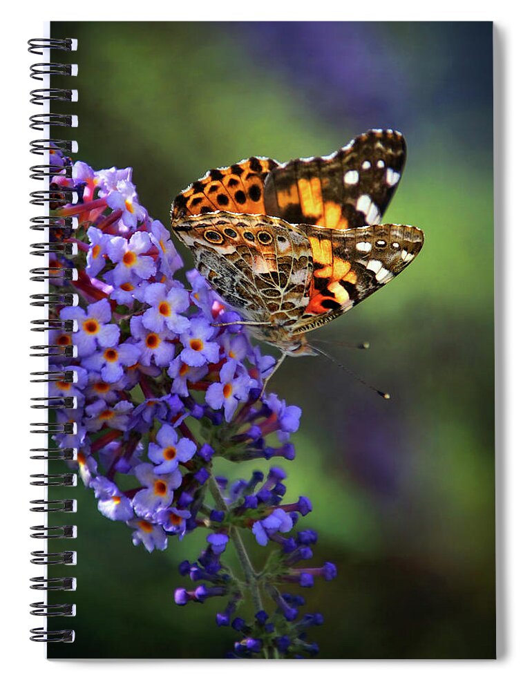 Painted Lady Butterfly On Butterfly Bush Spiral Notebook featuring the photograph Painted Lady Butterfly on Butterfly Bush by Carolyn Derstine