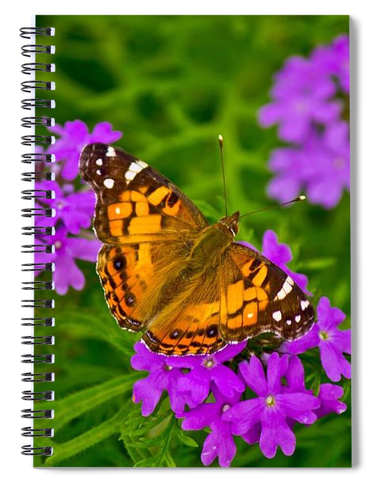 Michael Tidwell Photography Spiral Notebook featuring the photograph Painted Lady on Purple Verbena by Michael Tidwell