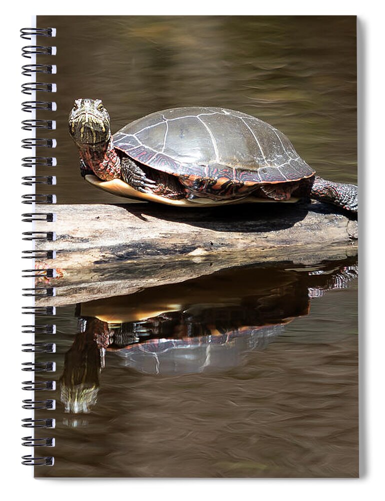 Art Spiral Notebook featuring the photograph Painted Reflection by Phil Spitze