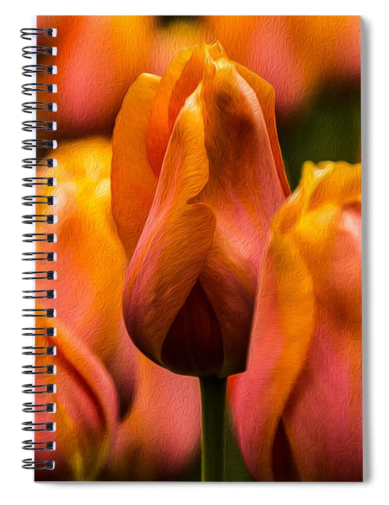 Jay Stockhaus Spiral Notebook featuring the photograph Painted Tulips 2 by Jay Stockhaus