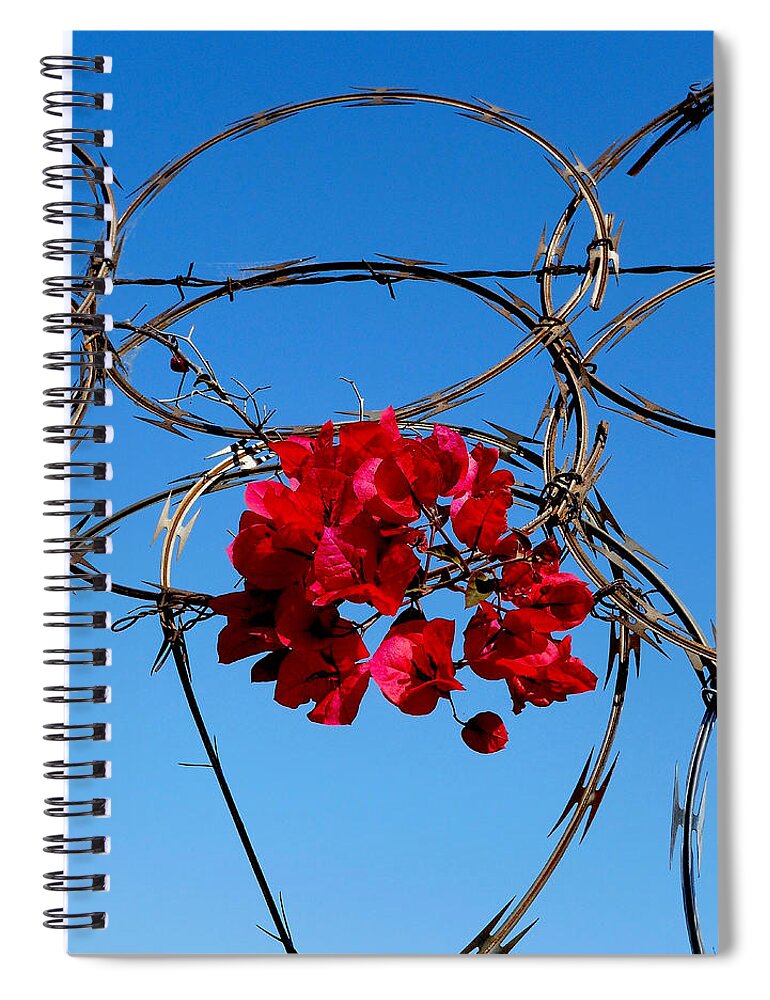 Red Flowers Spiral Notebook featuring the photograph Pairing by Gia Marie Houck