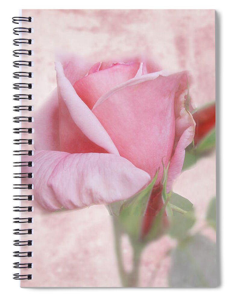 Pale Pink Rose Spiral Notebook featuring the digital art Pale Pink Rose by Victoria Harrington
