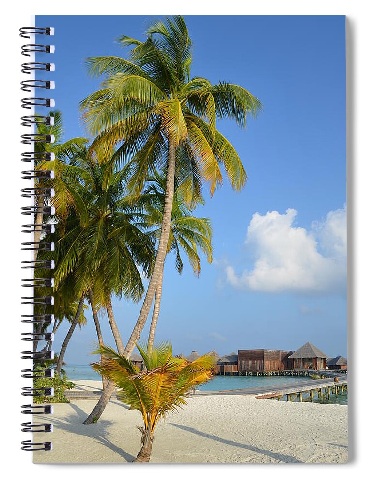 Tropical Paradise Spiral Notebook featuring the photograph Palm Paradise by Corinne Rhode