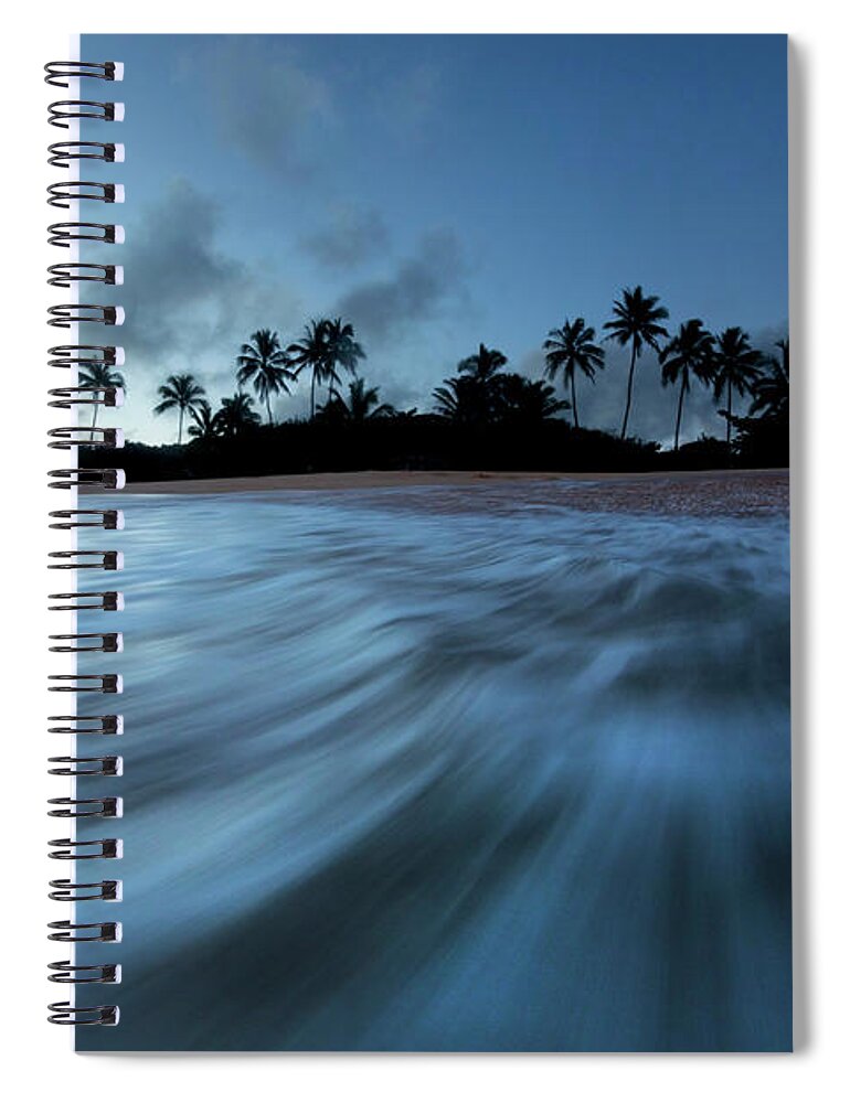 Palm Rush Spiral Notebook featuring the photograph Palm Rush by Sean Davey