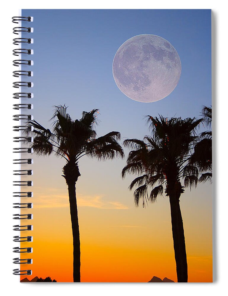 Palm Spiral Notebook featuring the photograph Palm Tree Full Moon Sunset by James BO Insogna