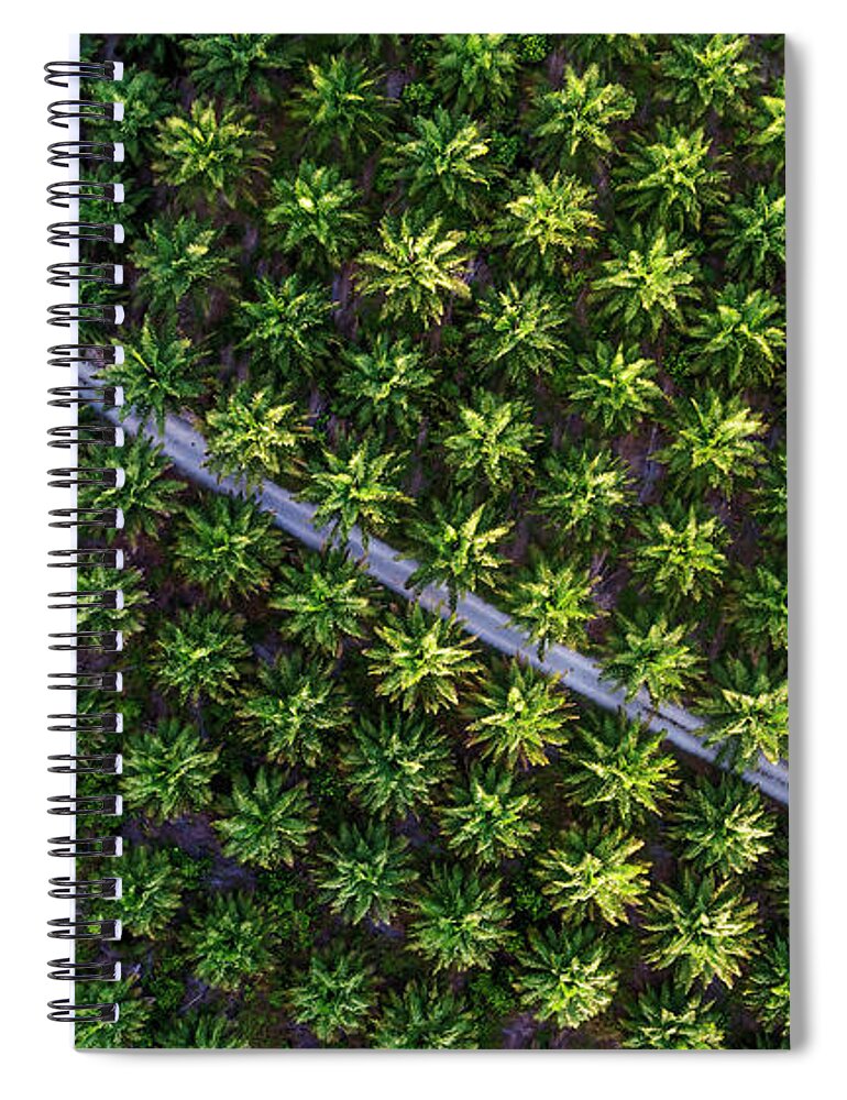 Clouds Reflections And Open Jetty In Sabah Spiral Notebook featuring the photograph Palm tree plantation pattern from above by Pradeep Raja PRINTS