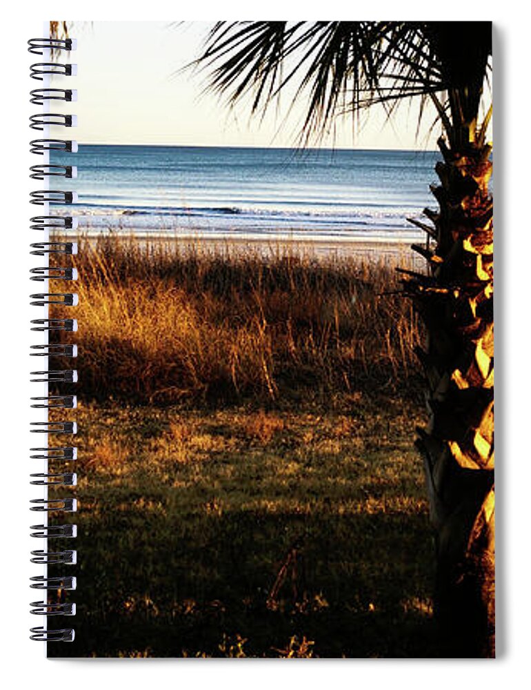 Palm Trees Spiral Notebook featuring the photograph Palm Triangle by Robert Knight