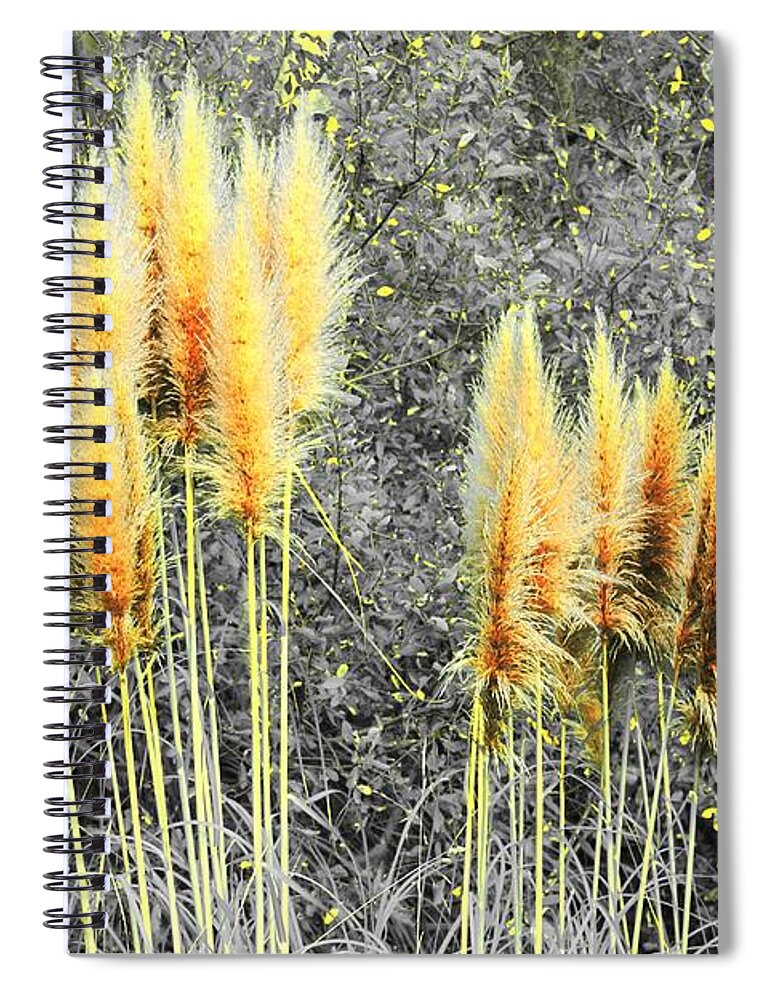 Pampas Spiral Notebook featuring the photograph Pampas by Athala Bruckner