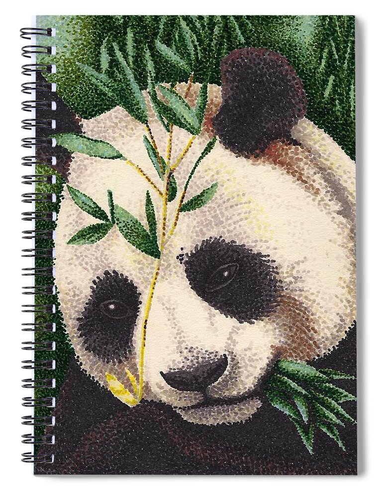 Panda Bear Spiral Notebook featuring the drawing Panda Bear by Scarlett Royale
