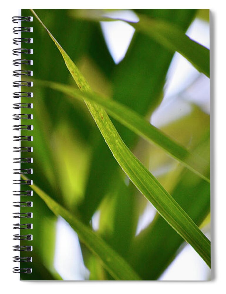 Green Spiral Notebook featuring the photograph Panic Lines by Melanie Moraga