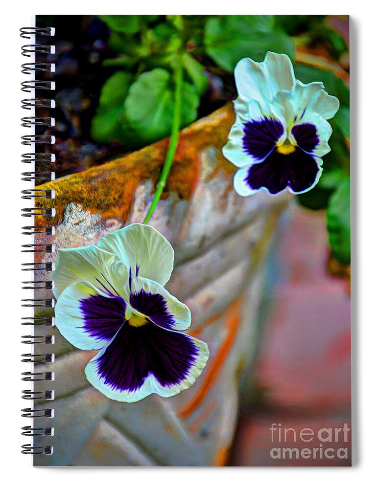 Pansies Spiral Notebook featuring the photograph Pansies by Savannah Gibbs