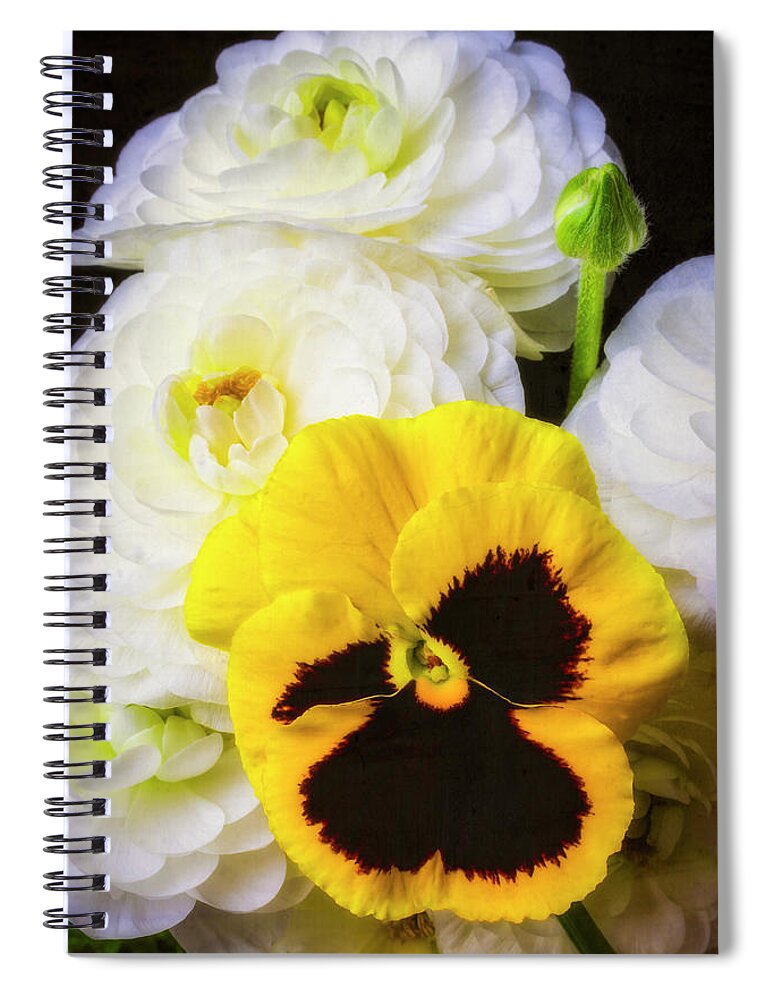 White Ranunculus Spiral Notebook featuring the photograph Pansy And Ranunculus by Garry Gay