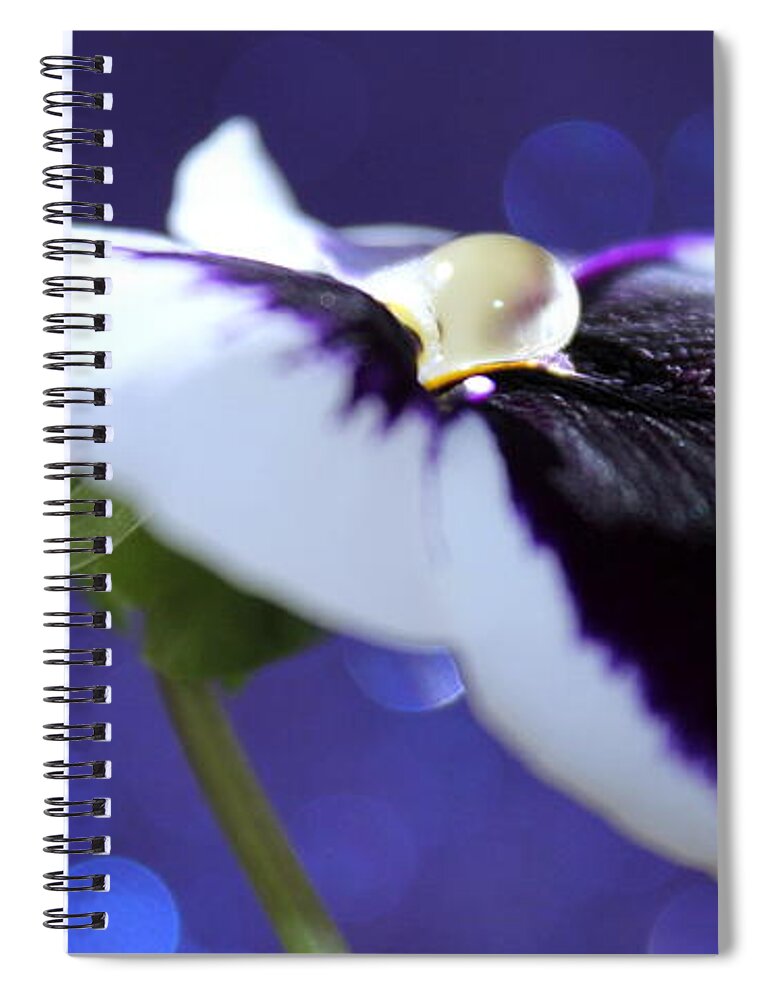 Pansy Spiral Notebook featuring the photograph Pansy Jewel by Krissy Katsimbras