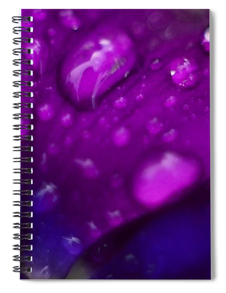Flower Spiral Notebook featuring the photograph Pansy Rain Macro by Bonfire Photography
