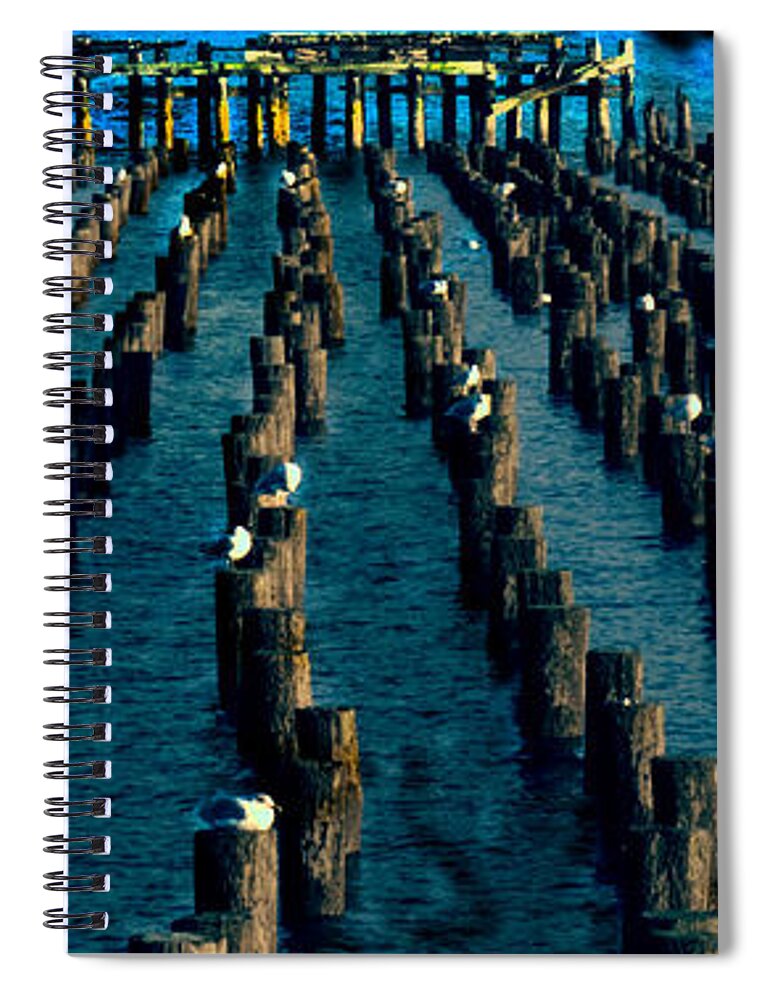 Gulls Spiral Notebook featuring the photograph Pantheon by Leon deVose