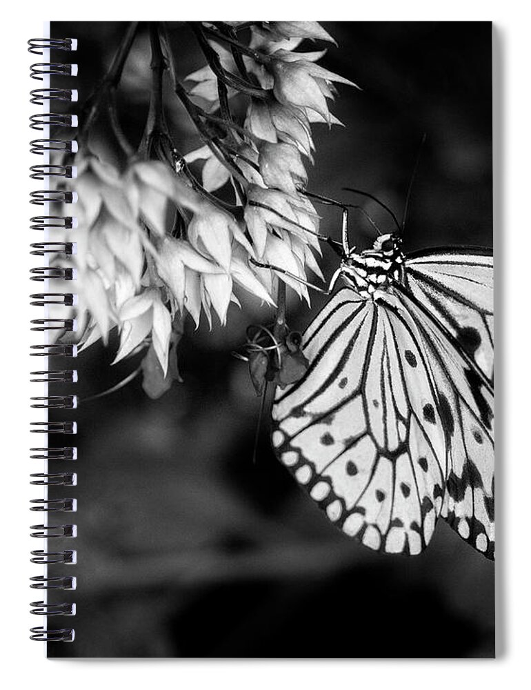 Butterfly Spiral Notebook featuring the photograph Paper Kite In Black and White by Greg and Chrystal Mimbs