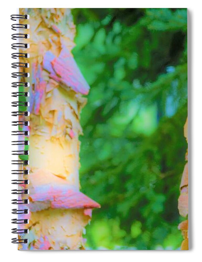 Trees Spiral Notebook featuring the photograph Paper thin Bark by Merle Grenz