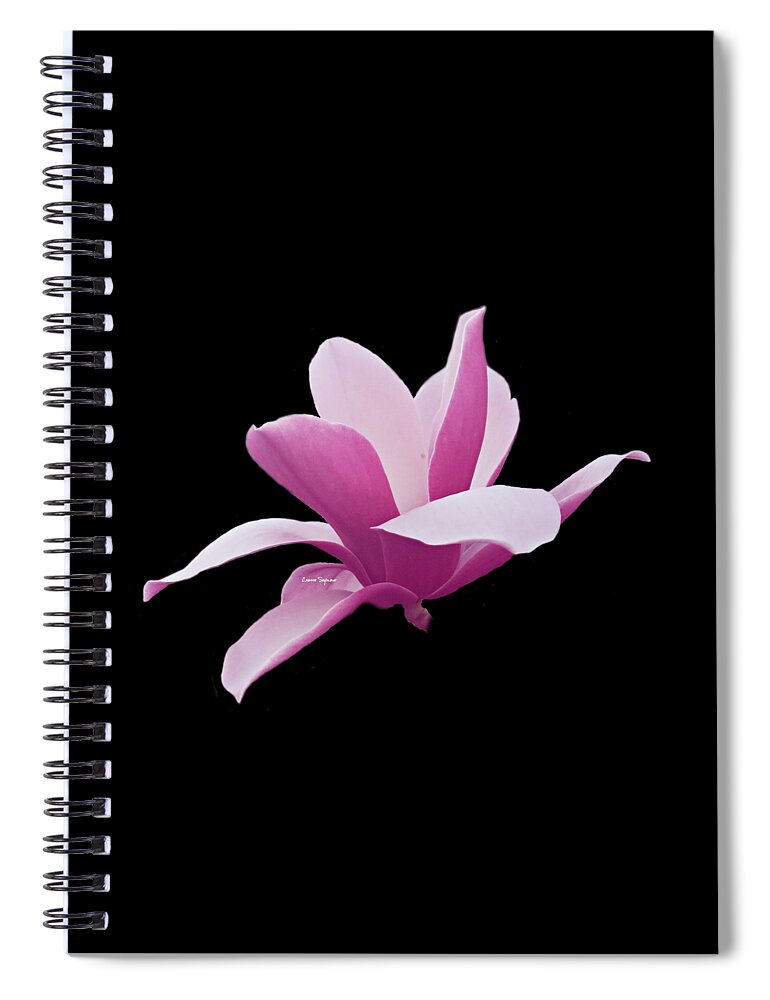 Magnolia Spiral Notebook featuring the photograph Paradox In Bloom by Leanne Seymour