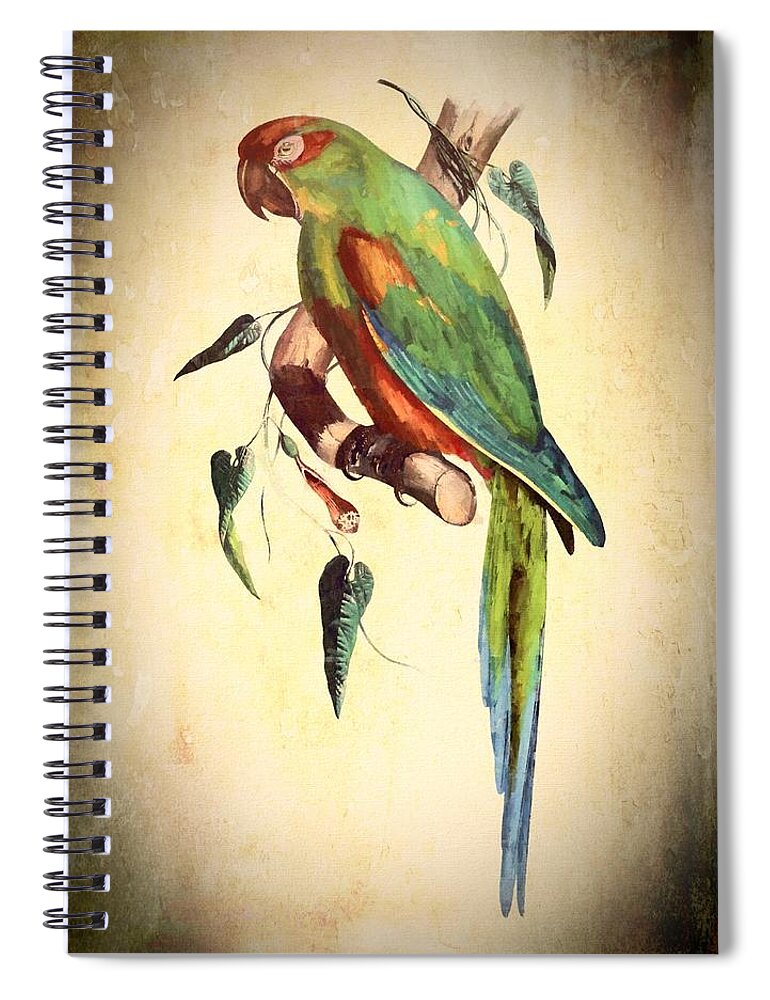 Bird Spiral Notebook featuring the mixed media Parrot by Charmaine Zoe