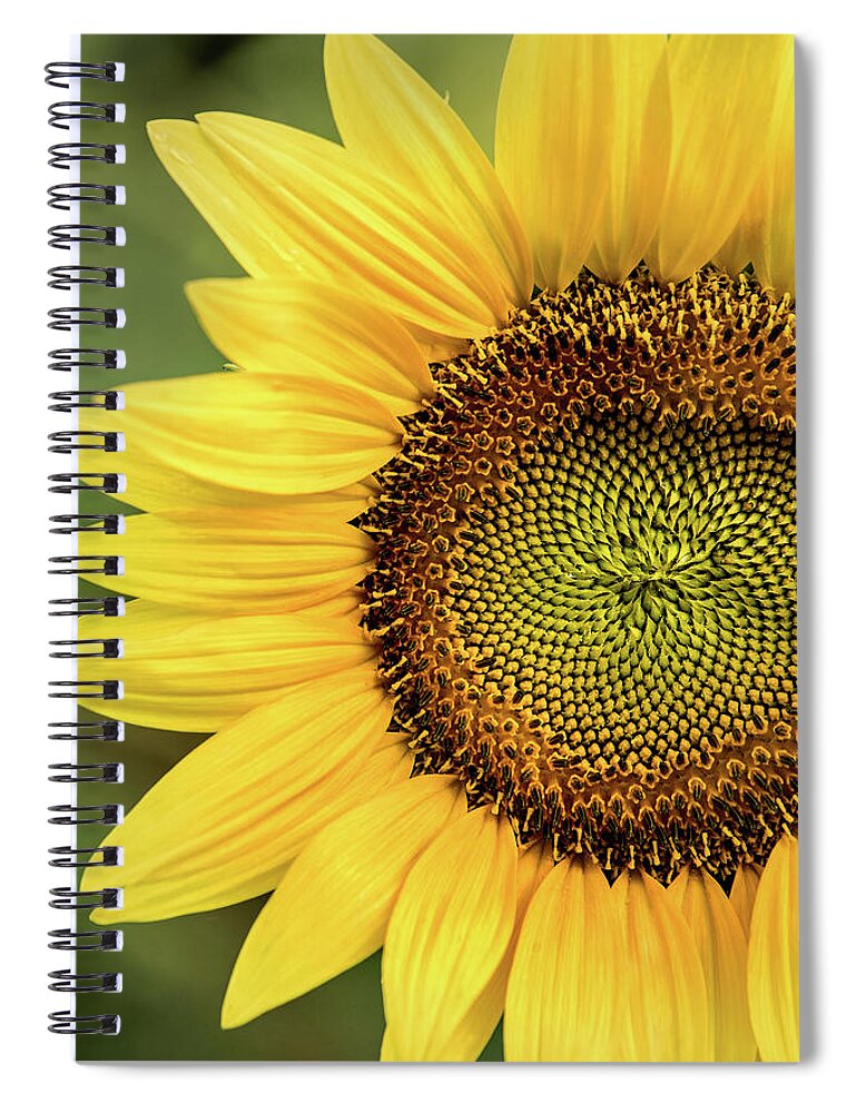 Flower Spiral Notebook featuring the photograph Part of a Sunflower by Don Johnson