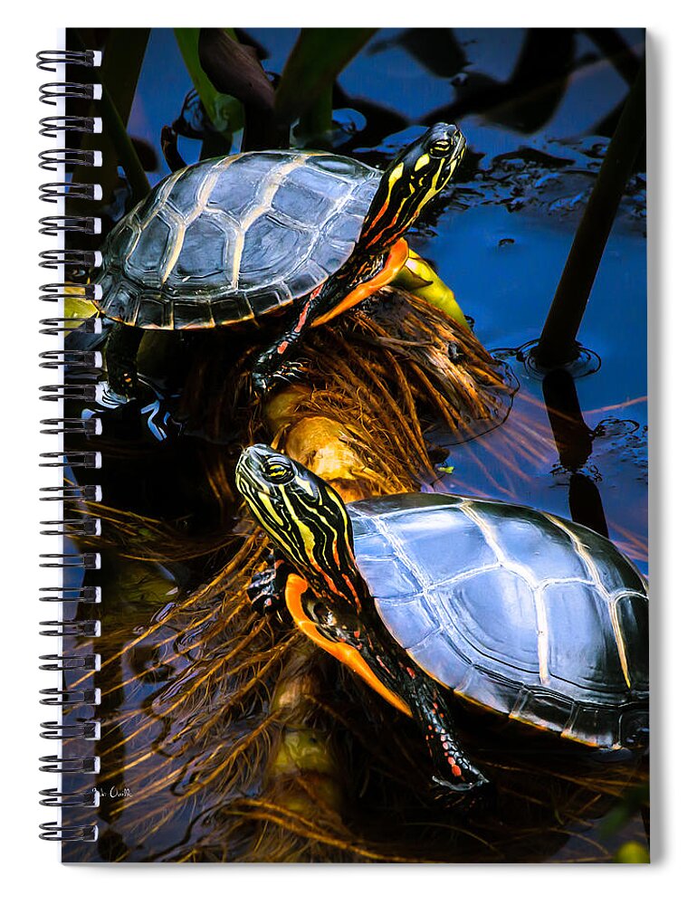 Reptile Spiral Notebook featuring the photograph Passing the day with a friend by Bob Orsillo