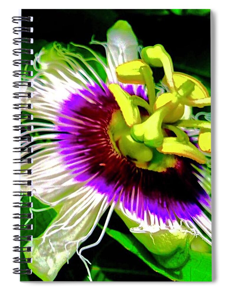 Passion Flower 3 Uplift Purple Radiating Spiral Notebook featuring the photograph Passion Flower 3 Uplift by Joalene Young