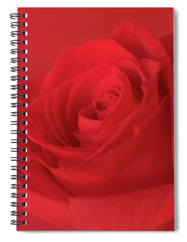 Red Rose Spiral Notebook featuring the photograph Passion by Holly Ross