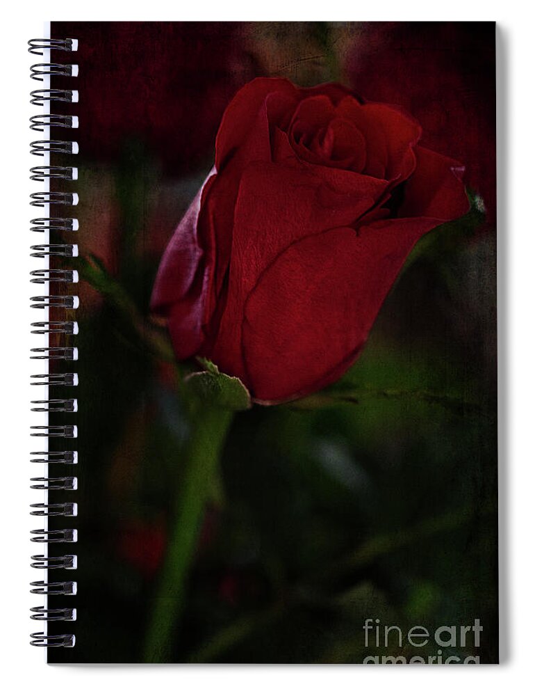 Rose Spiral Notebook featuring the photograph Passion by Linda Lees