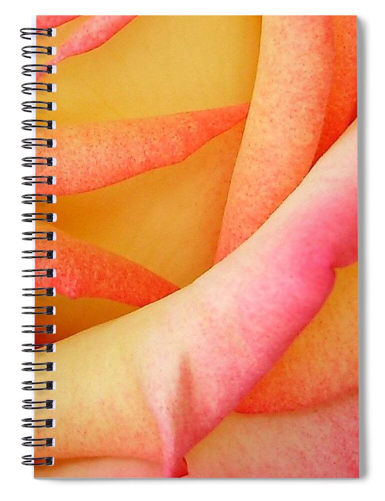 Roses Spiral Notebook featuring the photograph Passionate Petals by Anjel B Hartwell