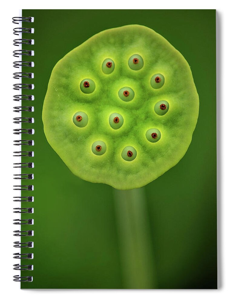 Flower Spiral Notebook featuring the photograph Past Prime by Don Johnson