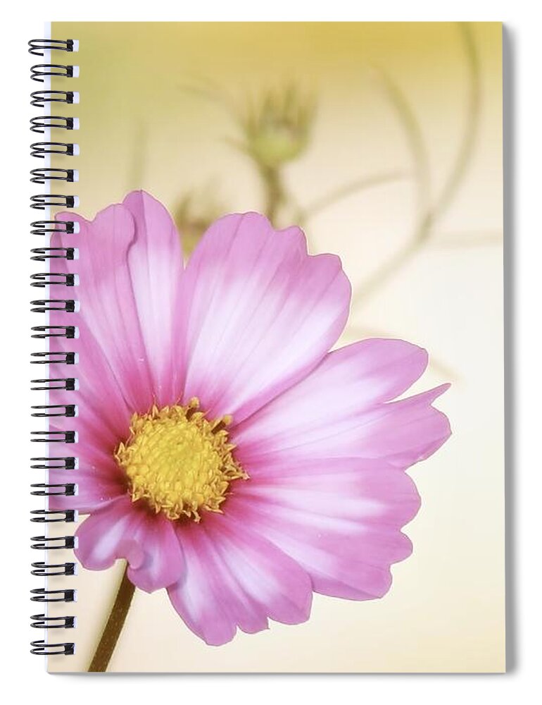 Cosmos Spiral Notebook featuring the photograph Pastel Petals by MTBobbins Photography