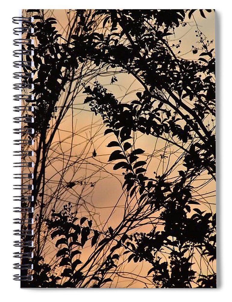 Linda Brody Spiral Notebook featuring the photograph Pastel Sunset I by Linda Brody
