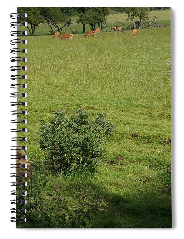 Beecraigs Spiral Notebook featuring the photograph Pasture. by Elena Perelman