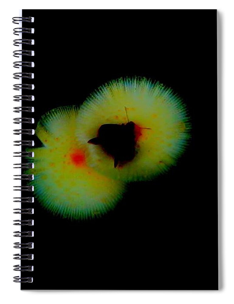  Spiral Notebook featuring the digital art Patch Graphic #67 by Scott S Baker