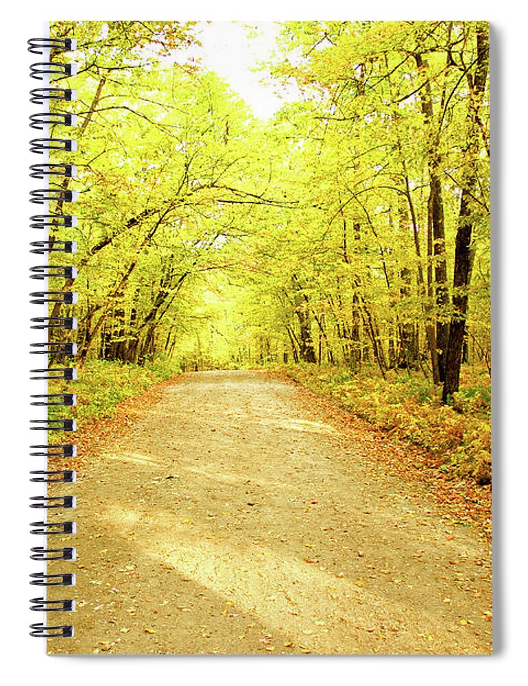 Trail Spiral Notebook featuring the photograph Path in the Woods by Becqi Sherman