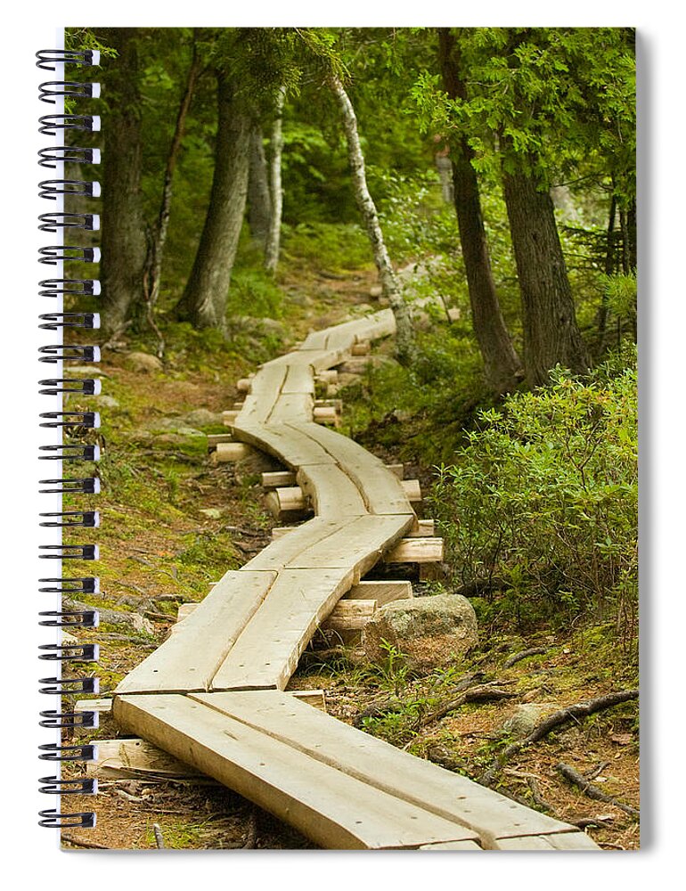 Forest Spiral Notebook featuring the photograph Path Into Unknown by Sebastian Musial