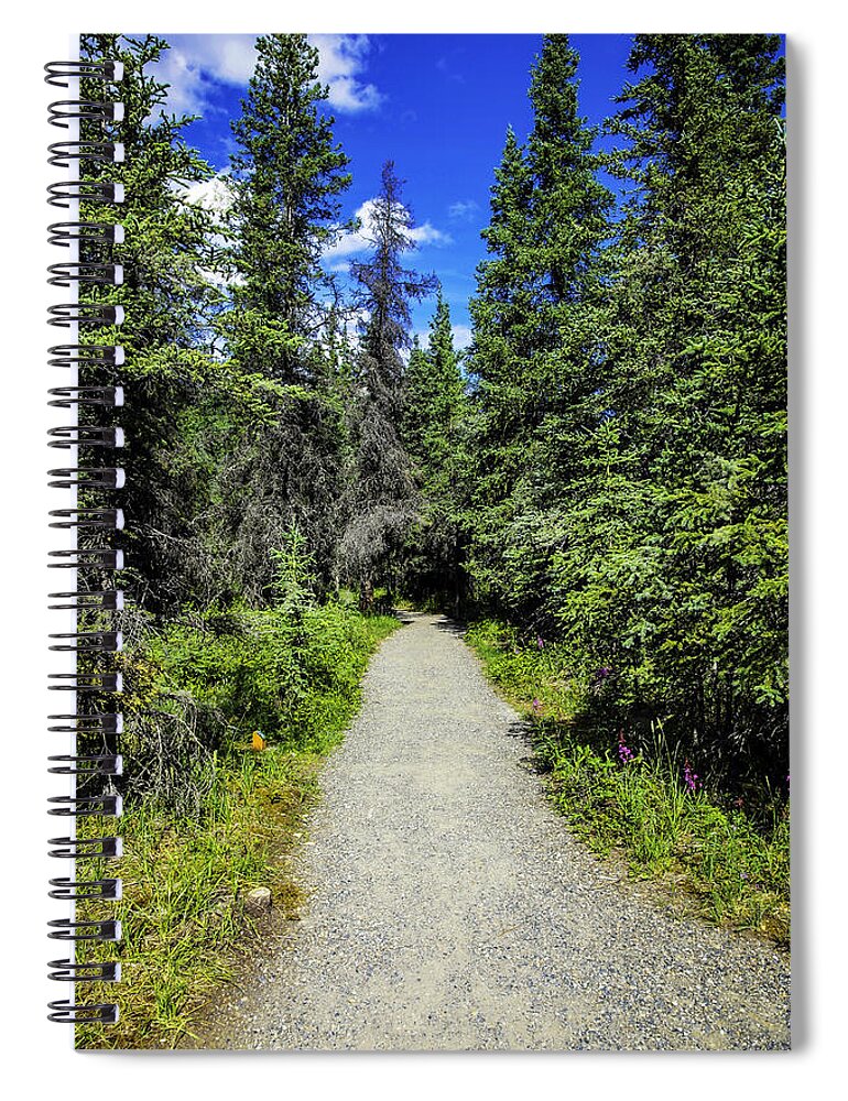 Landscape Spiral Notebook featuring the photograph Path by Madeline Ellis