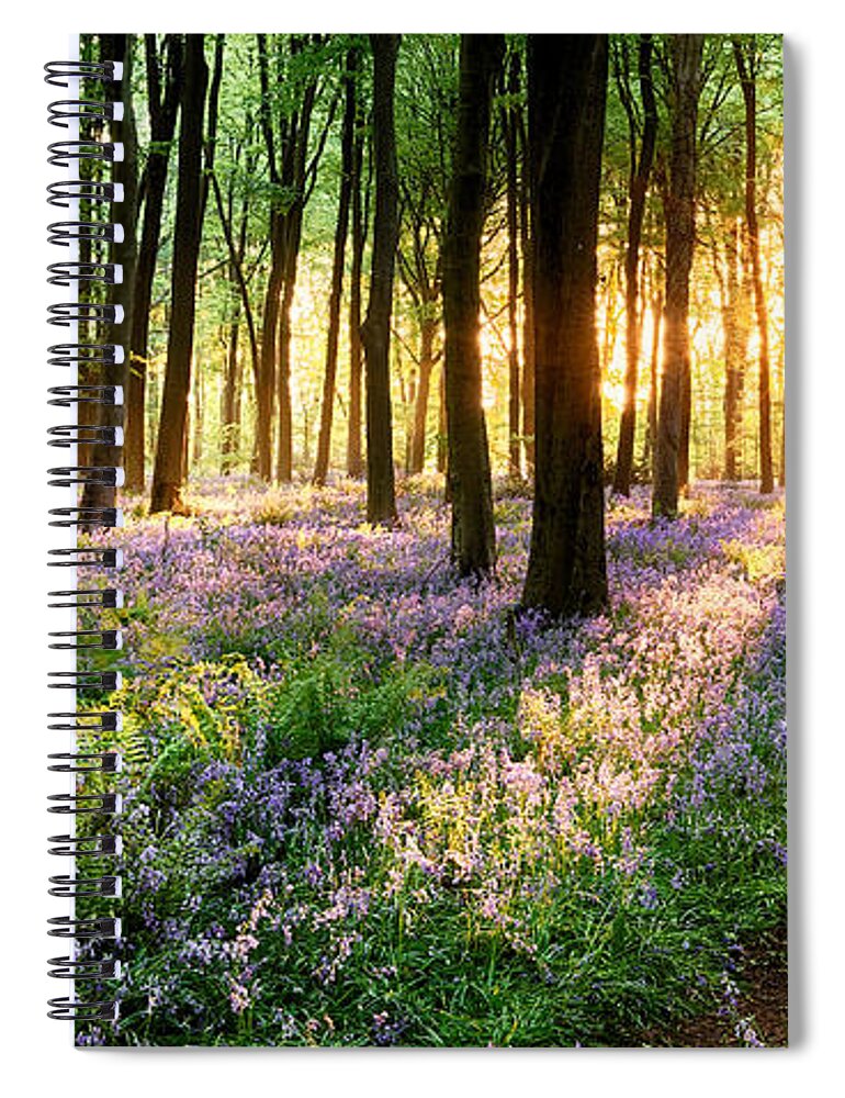 Flower Spiral Notebook featuring the photograph English bluebell woodland path by Simon Bratt