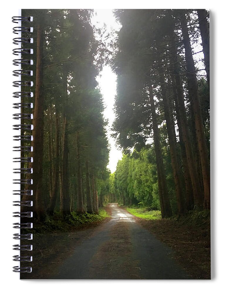 Kelly Hazel Spiral Notebook featuring the photograph Path Through the Woods by Kelly Hazel