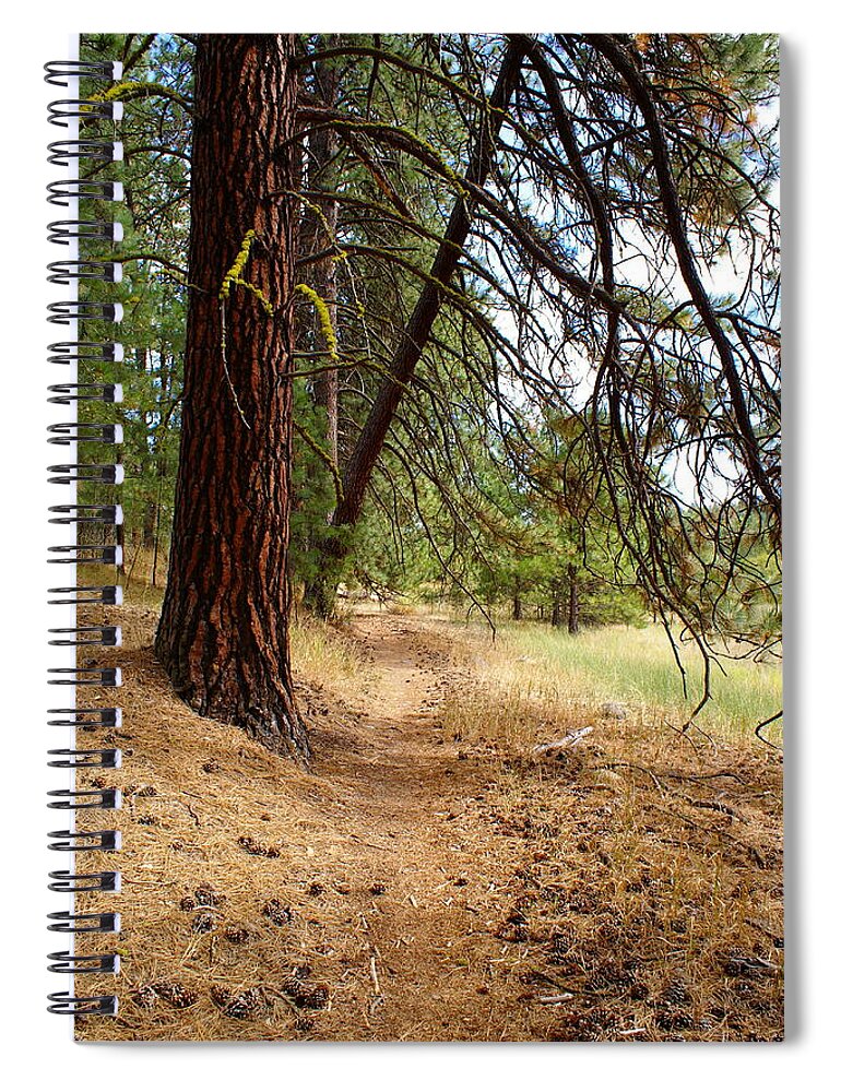 Nature Spiral Notebook featuring the photograph Path to Enlightenment 2 by Ben Upham III