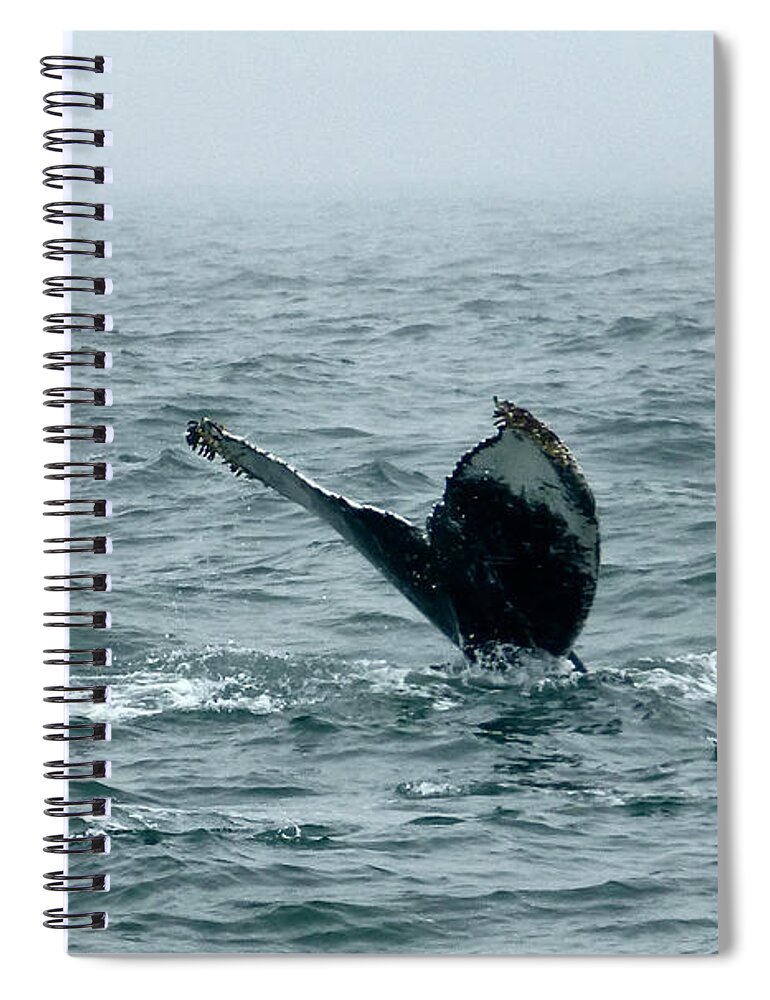 Humpback Whales Spiral Notebook featuring the photograph Humpback Flukes and Buoy by Amelia Racca