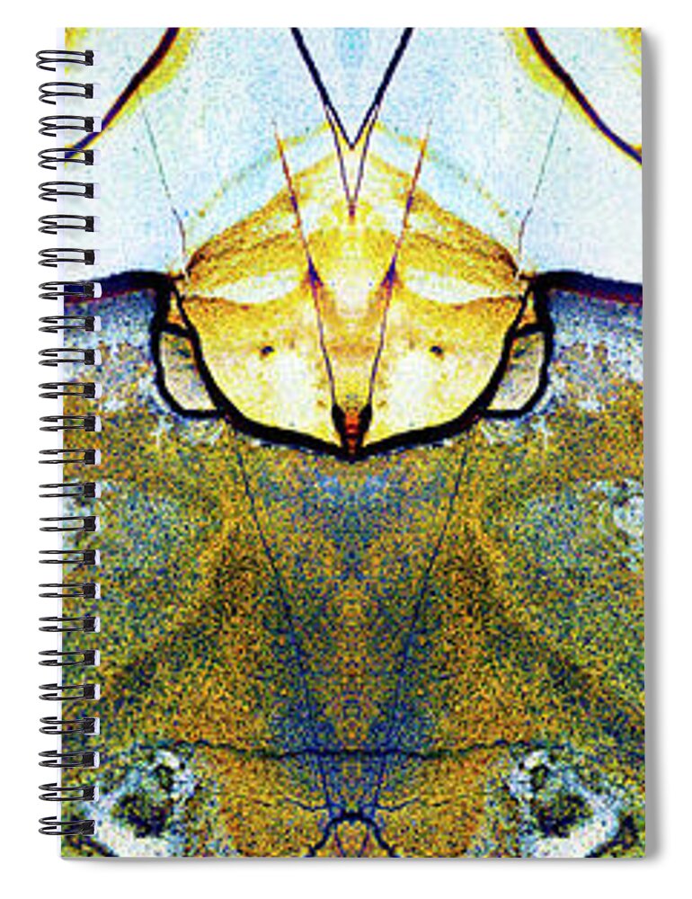 Abstract Spiral Notebook featuring the photograph Patterns in Stone - 157 by Paul W Faust - Impressions of Light