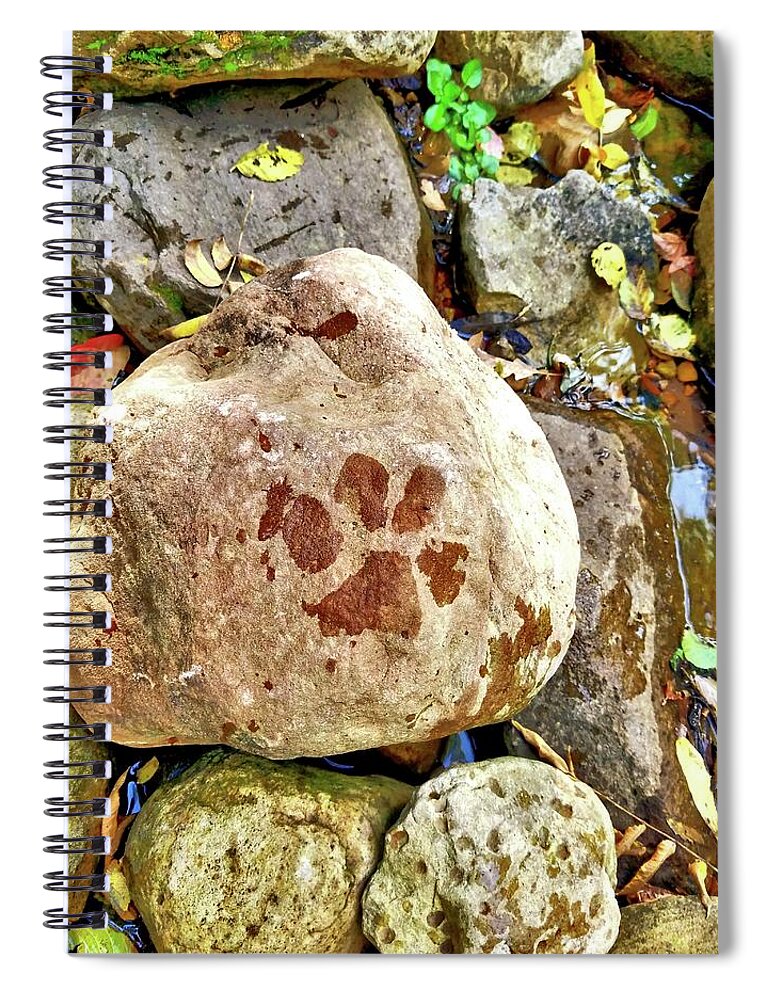 Puppy Spiral Notebook featuring the photograph Paws on the rocks by Bonny Puckett