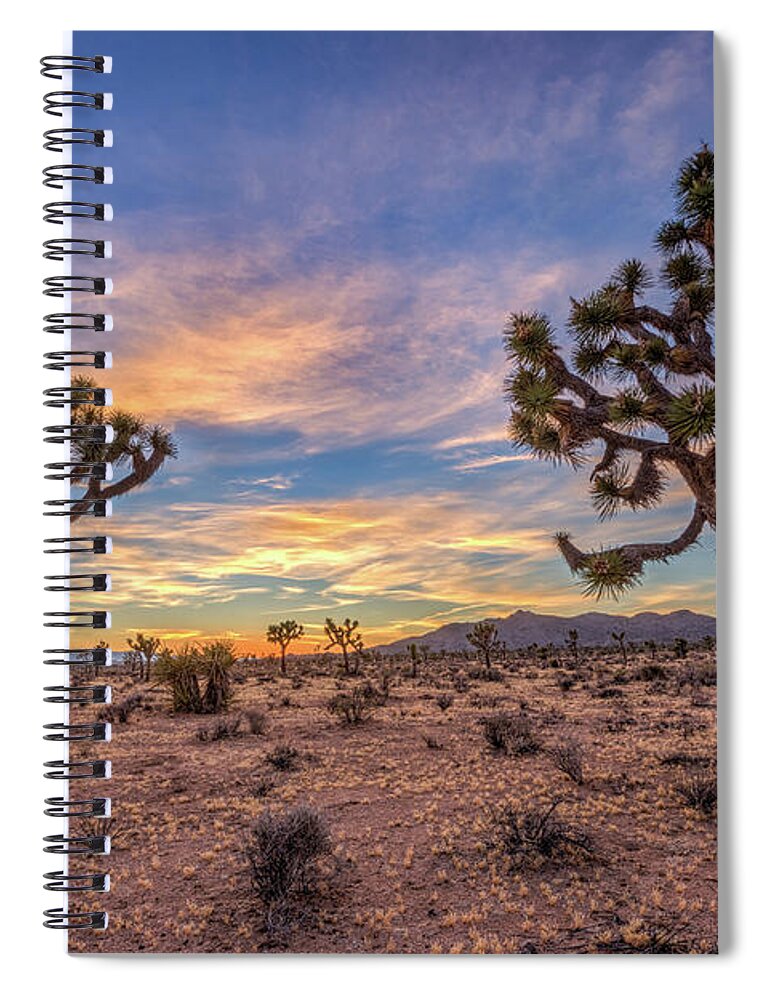 California Spiral Notebook featuring the photograph Peace at Joshua Tree by Peter Tellone