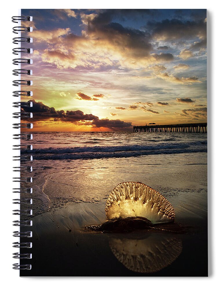 Animals Spiral Notebook featuring the photograph Peaceful Beauty by Debra and Dave Vanderlaan