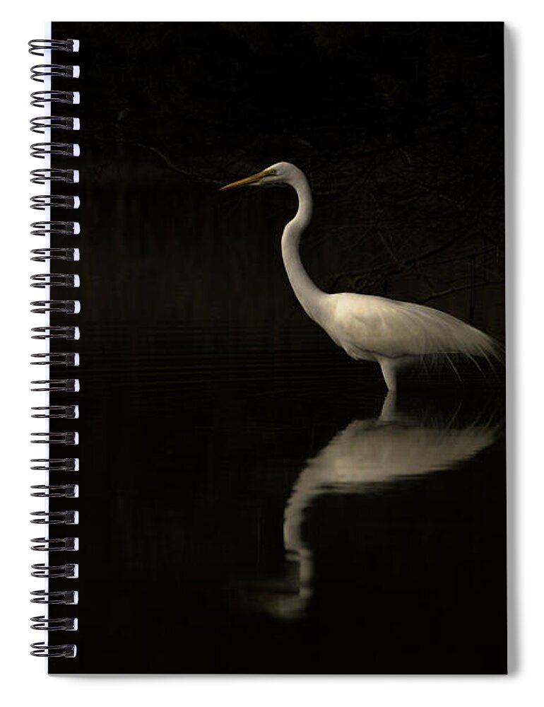 Great Egret Spiral Notebook featuring the photograph Peaceful Moment by Ray Silva
