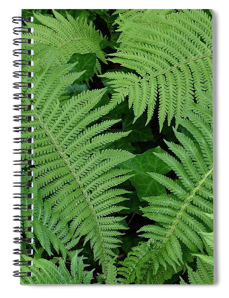 Ferns Spiral Notebook featuring the photograph Peaceful Places by Ira Shander