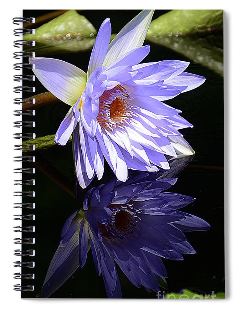 Lily Spiral Notebook featuring the photograph Peaceful Reflections by Cindy Manero