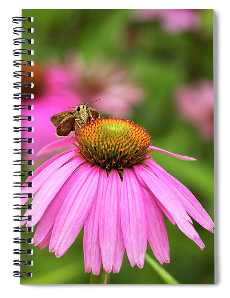Valentines Day Spiral Notebook featuring the photograph Peaceful Skipper Butterfly by Marianne Campolongo